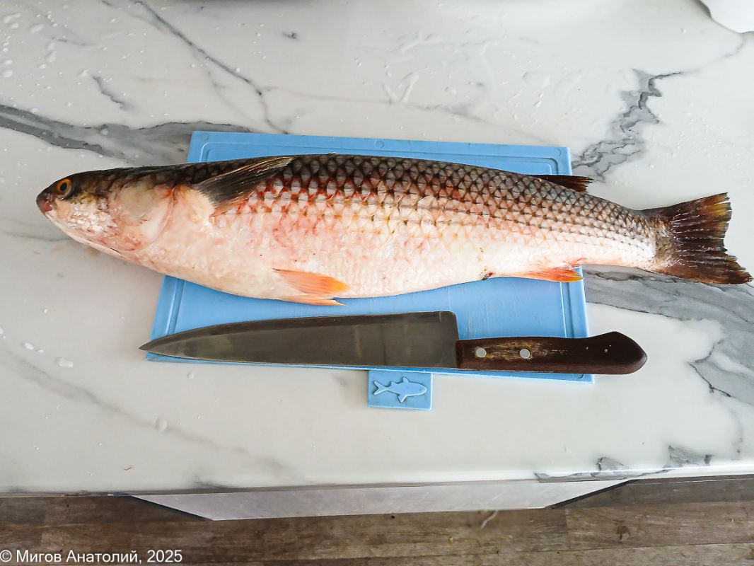 ������ ����: �������� �������� � ������� ��������� � ������� ������� ��� ��������