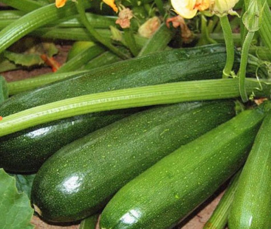 ����������� ������� ��������� ������� �� ����: ���� ��� ��������