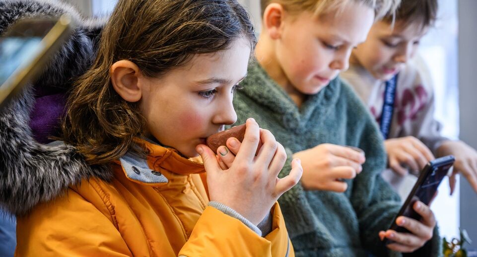 Комбуча и чувствительность к инсулину: что говорят новые исследования?