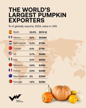 Тыква превратилась в экспортный товар: как аграрный сектор нарастил обороты
