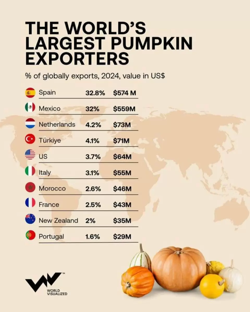 Тыква превратилась в экспортный товар: как аграрный сектор нарастил обороты
