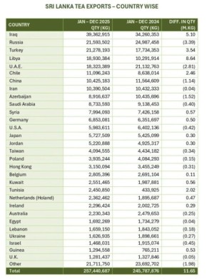 Кто ценит черный чай больше всего: неожиданные лидеры в рейтинге импортеров