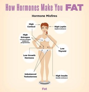 Гормоны и лишний вес: неожиданное открытие