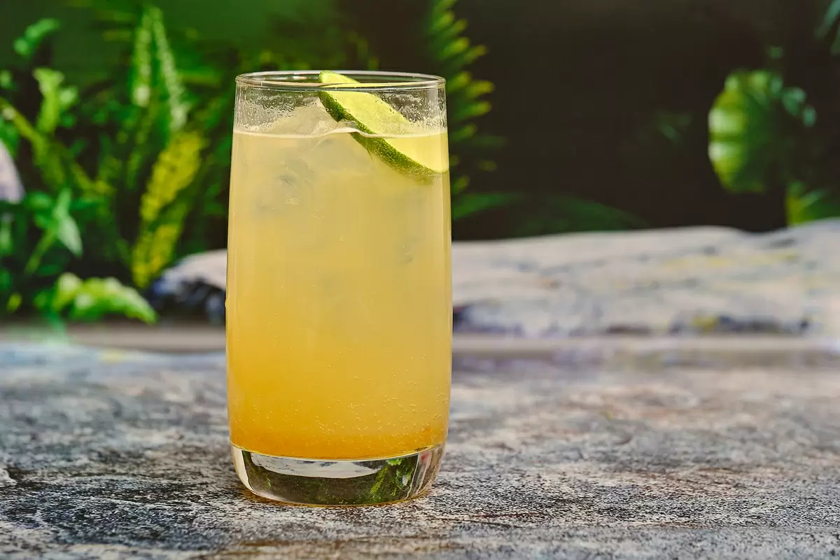 Летние Коктейли с Цитрусовым Вдохновением