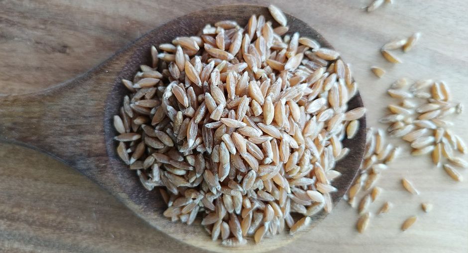 �����: ������� ��������, ����� � ���� �� ���������� �����