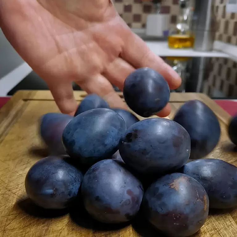 Завораживающая выпечка со сливами: просто, быстро и невероятно вкусно