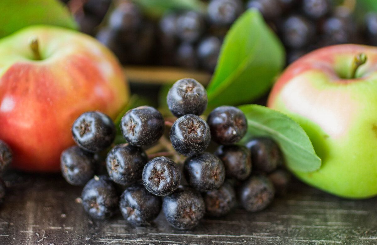 ���� ������������ �������� ��������� ������������ ������ �� ����