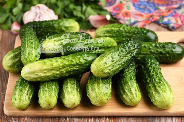 ������������ ������� ����������� �������: ��� ��������, ������� ����� �����������