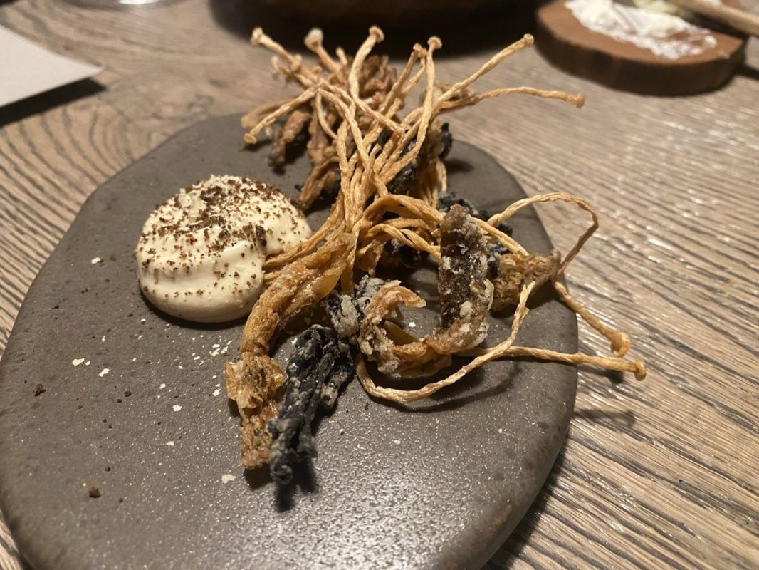 ����� ���������������� ��� �������� ���������� �� ���� ��������� Bjorn