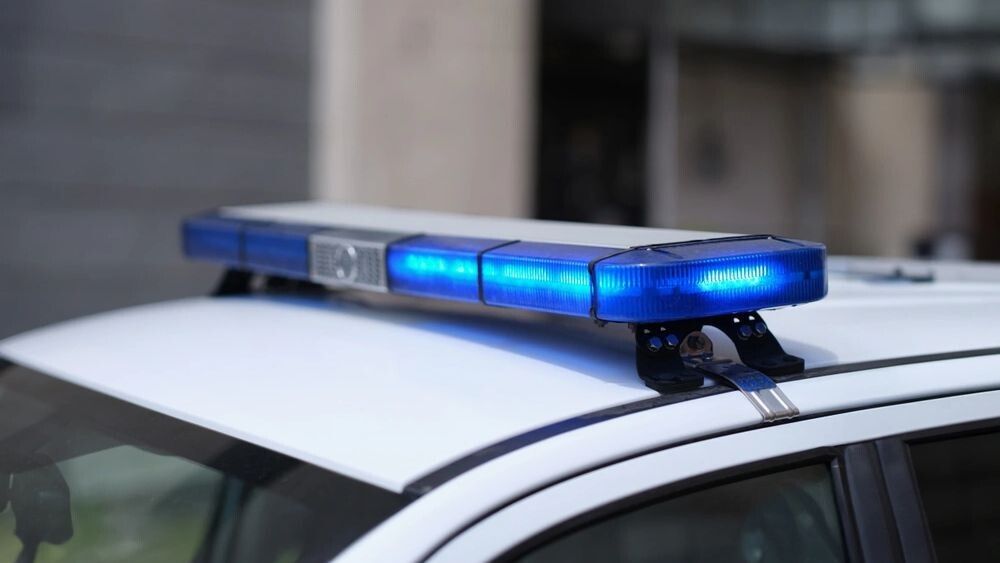 ����������� ������� �� Harvest Fest: �������� ��������� � ������ ���������