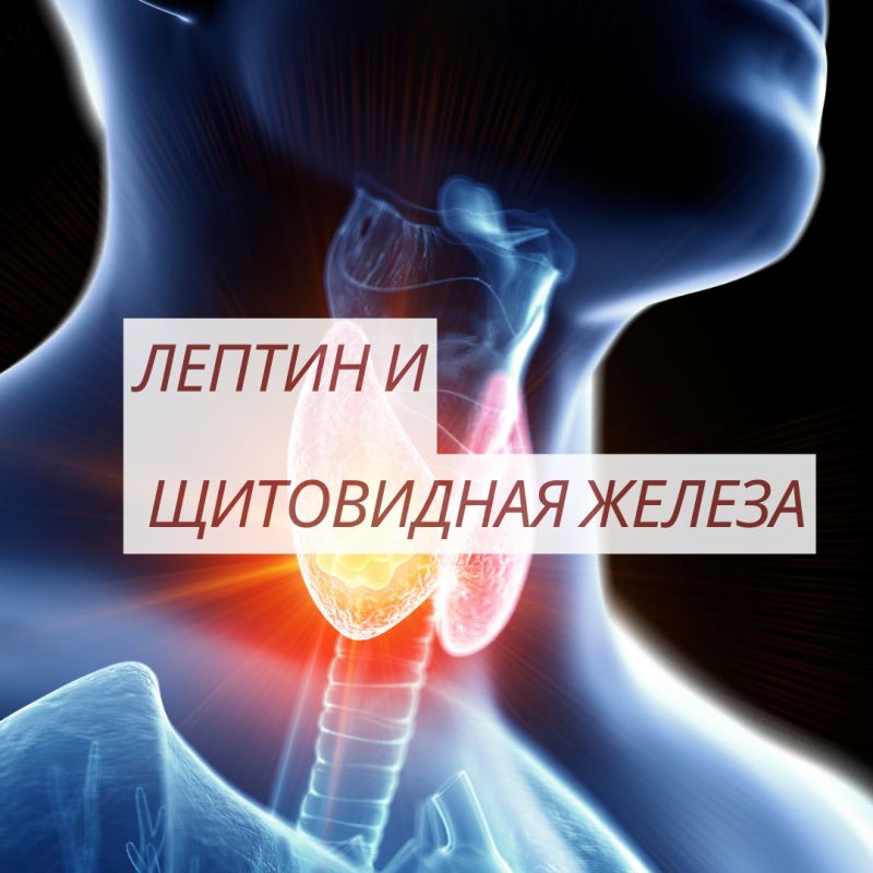 ������ � ��� ������� �� ���������� ������