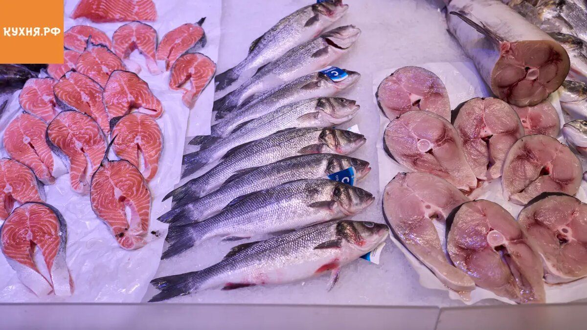 ����� ����: ����� ��������� ������ � ��������