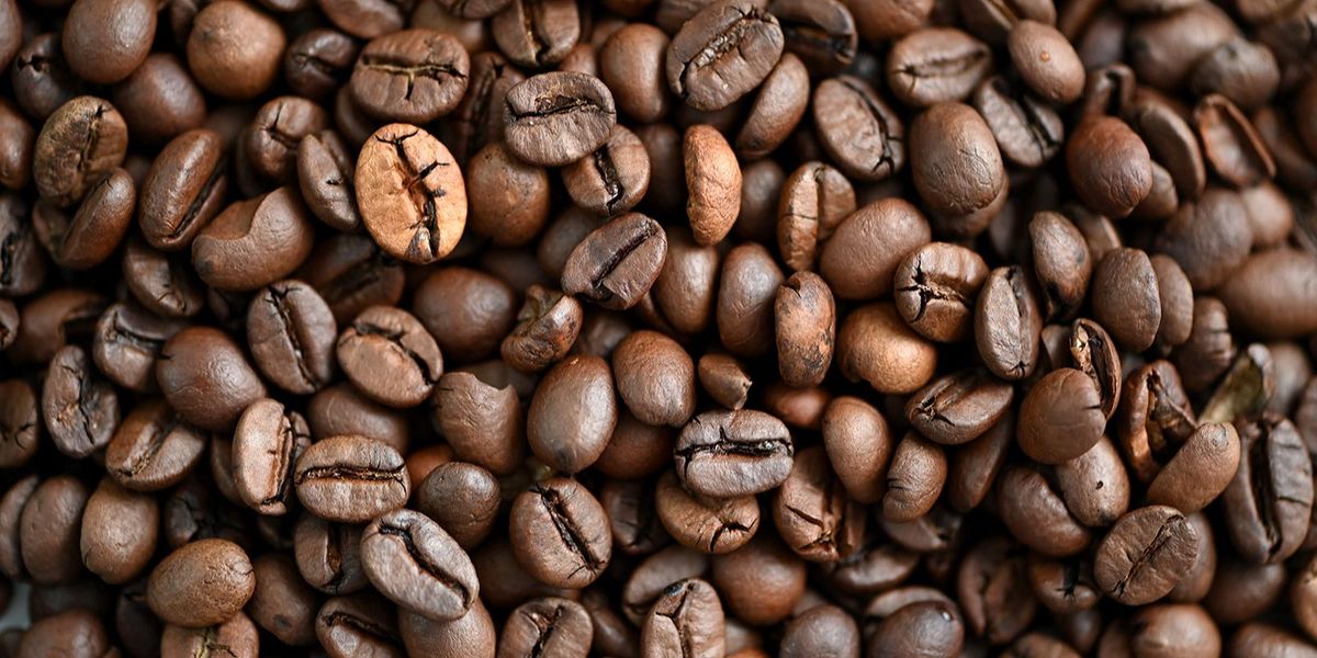 ���� � ��������: ��� �������� ������ �� ����� ������������