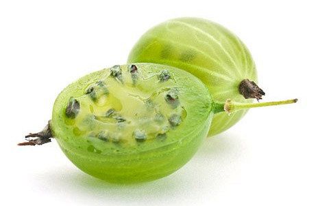 ������������ ���� �� ����������: ��������� ���������� � �������