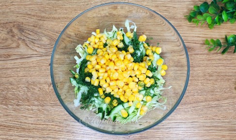 ����� � ����������, ������� ������� ���� ����� � ������