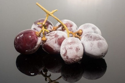 ��� ����� �� ������ �������������� �������