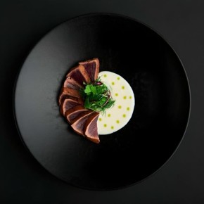 ������ ��������� ����� � �������� � ��������: ������������ ���������������� ����