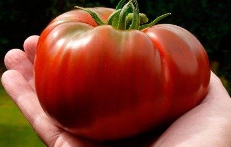 ��� ��������� �������� ����������� �������: ������� ����������� ���������