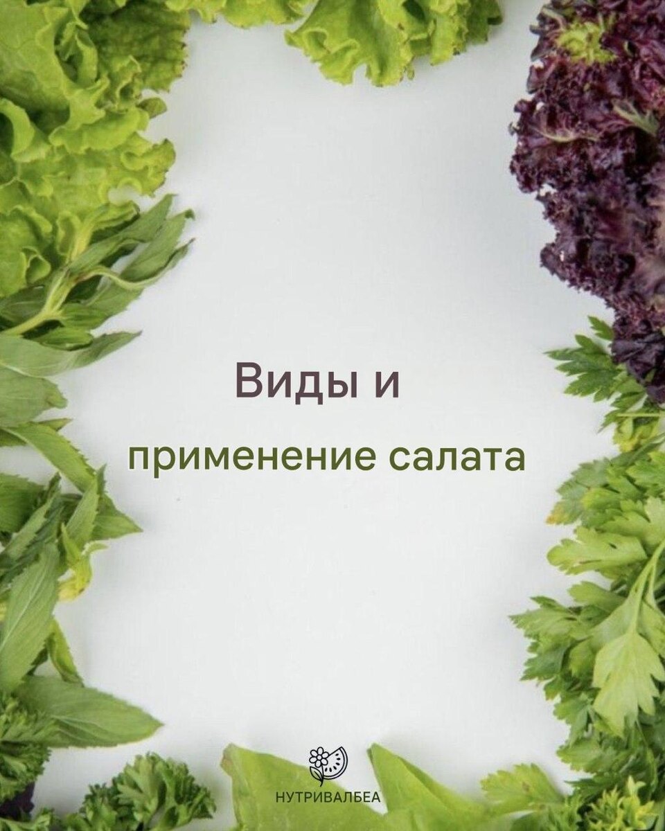 Как выбрать салат: простые идеи для повседневной кухни