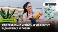 Как правильно хранить крупы и муку, чтобы они не испортились