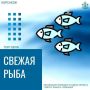 Камбала по специальной цене: не пропустите выгодную распродажу!