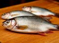 Вобла: вкус детства или зловещий перекус?