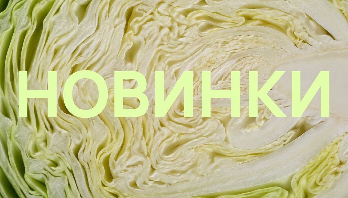 Открываем новые горизонты вкуса: привлекательные блюда нашего меню