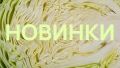 Открываем новые горизонты вкуса: привлекательные блюда нашего меню